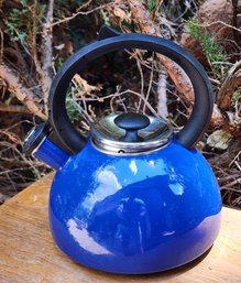 Blue Oven Top Tea Kettle