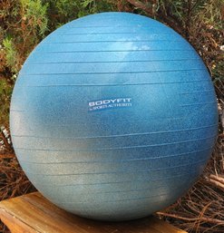 BODY FIT Exercise Ball Selection