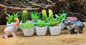 Assortment Of Faux Succulent Potted Plants And Ceramic Elephant Figures