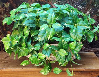 Huge Artificial IVY Style Faux Indoor Plant With Basket