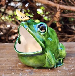 Vintage Kitchen Sink Ceramic Frog With Butterfly Pal