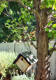 Vintage Wooden Hanging Bird House