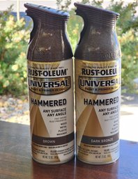 (2) Cans Of HAMMERED Finish Spray Paint