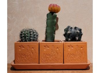 Set Of (3) Faux Cactus Plants Home Decor Southwest