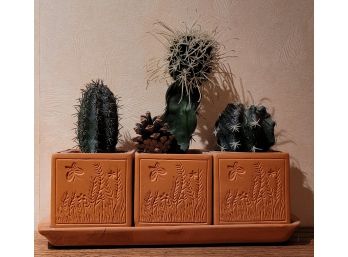 Set Of (3) Faux Cactus Plants Home Decor Southwest