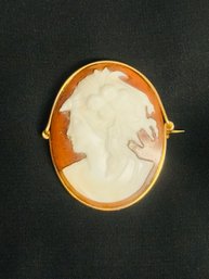 Porcelain Pendant Brooch Pin Yellow Gold Encircling A Shell Cameo