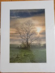 Signed Photgraphic Art Of Rising Sun With The Tree Of Life