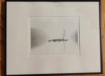 Signed Photograph Artwork Of Reflecting Trees