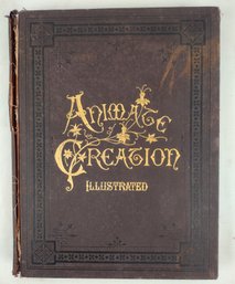 Antique Book 1908 Animate Creation Vol. VI - Illustrated