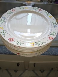 Dinner Plates