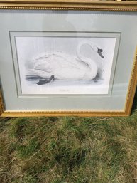 Framed Artwork