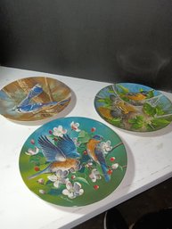 Vintage Collectors Plates