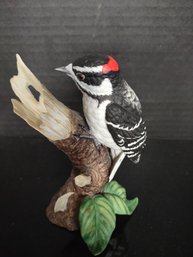 Lenox Downey Woodpecker