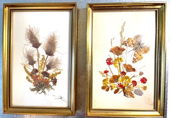 Reichlin Vintage Pressed Flower Images, 5x7, Austria