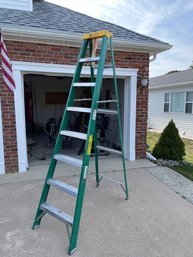 Davidson 8 Foot Fiberglass Step Ladder