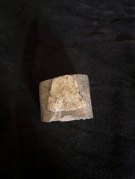 Nautiloid Fossil From Utah