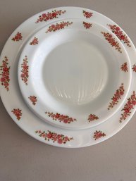 Arc Arcopol Floral Plates