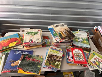 Scholastic Kids Book Lot