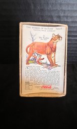 Vintage World Of Nature Wild Animal Coca Cola Cards