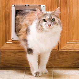 New PetSafe Interior Cat Door: 2-Way Locking, Indoor Pet Door Flap