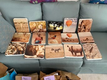 Lot Of Mounted Photos From African Safari