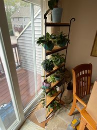 Corner Shelf / Plant Stand