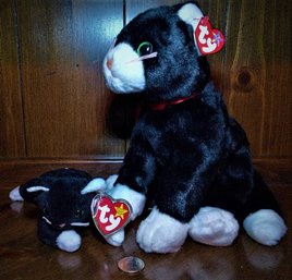 Ty Beanie Babies Featuring:  'Zip The Cat' & His Beanie Buddy