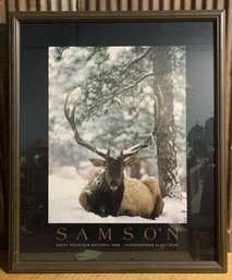 Heritage Frames And Fine Art, Samson, Rocky Mountain National Park, Scott Pope