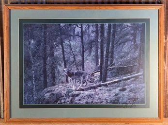 Jim Brandenburg, Howling Gray Wolf, Wood Framed Print, 30.5' X 22.5'