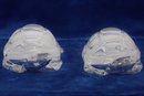 Pair Of BACCARAT Crystal Turtles Paper Weights- Shippable