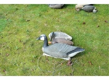 Vintage Floating Ducks & Goose