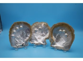 3- Indonesian Oyster Shells With Mabe Pearls Lot #2 - Shippable