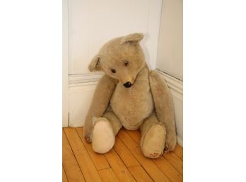 Rare  Steiff German Teddy Gigantic 32'long