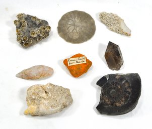 Genuine Crystal & Fossil Lot