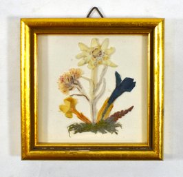 Vintage EDELWEISSE Dried Flower Miniature Picture