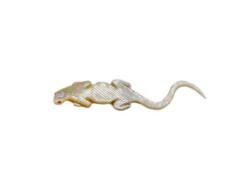 Vintage Hand Carved Mother Of Pearl Lizard