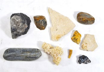 Lot Of Fossils & Stones