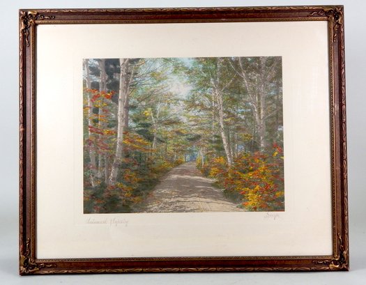 Charles Henry Sawyer (1868 - 1954) Framed Hand Tinted Photo- Autumn  Tapestry- New Hampshire