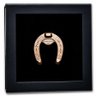 2022 Palau 1 Oz .999 Silver Red Gold Gilded Lucky Horseshoe Shaped Coin