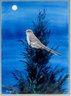 Julie Zickefoose (B. 1958) Watercolor Of Mockingbird