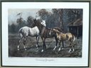 George Wright (1860 - 1942) Pair Of Horse Engravings