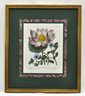 Vintage F. Sanfom Chinese Water Lily Botanical Print