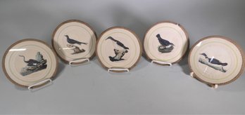 5 Vintage Bird Prints