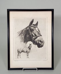 Reinhold Palenske (1884 - 1953) ' Man O' War' Horse Etching