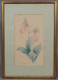 Pat Lapierre( 19-20th Century) Pink Lady Slipper Flower Print