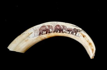 Large Genuine Antique Warthog Tusk With Etched Elephants