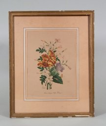 Vintage Benoit Chirat Tiger Lily Botanical Print