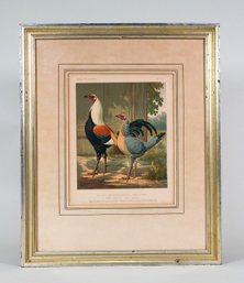 J. W. Ludlow  'Sir Harry' And 'Lady' 1873 Poultry Antique Lithograph