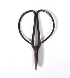 Antique Taxidermy Scissors