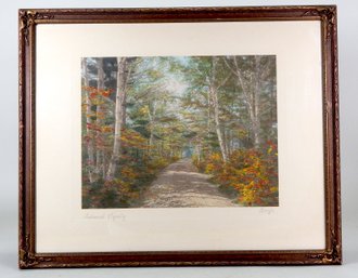 Charles Henry Sawyer (1868 - 1954) Framed Hand Tinted Photo- Autumn  Tapestry- New Hampshire